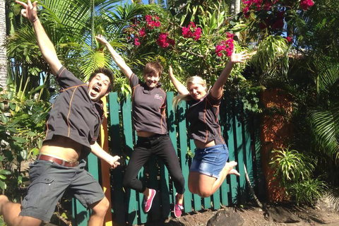 JJs Backpackers Hostel - Surfers Paradise Gold Coast 6