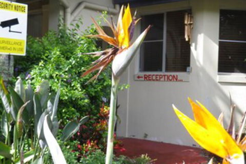 Ocean Shores Motel - Surfers Paradise Gold Coast 2