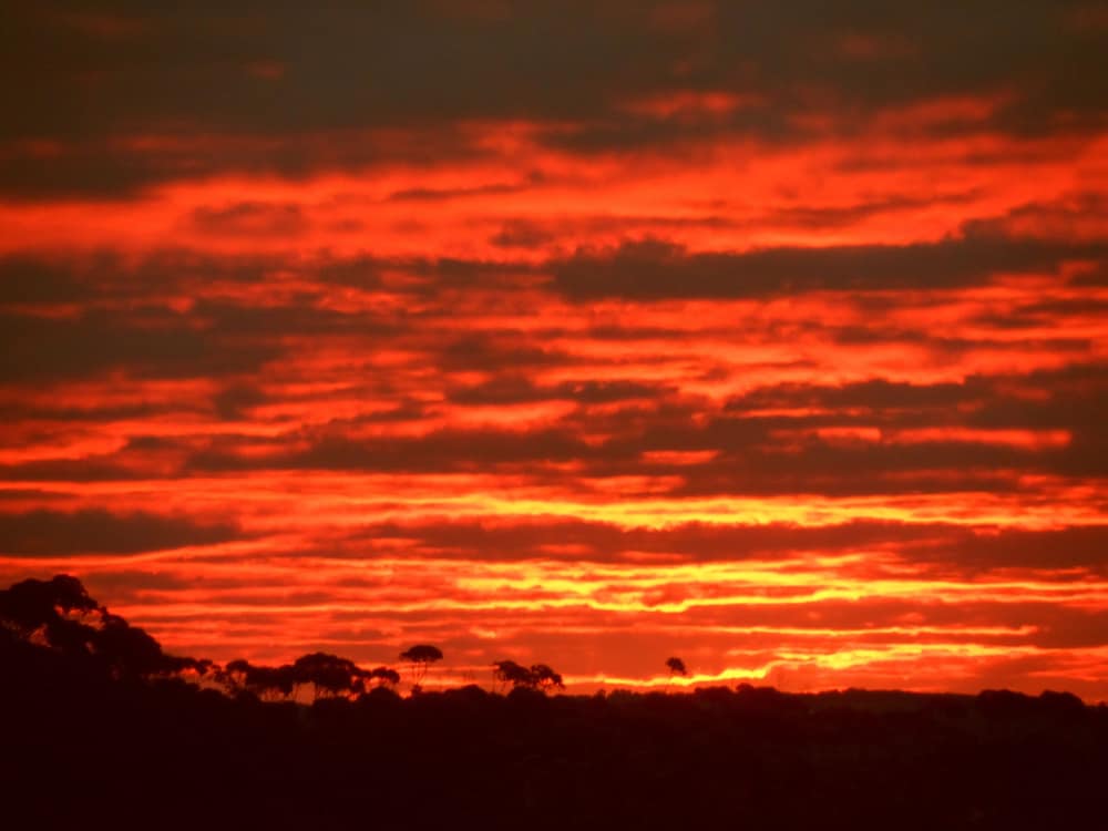 Lowlands WA Surfers Paradise Gold Coast
