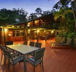 Wait a While Daintree - Surfers Paradise Gold Coast