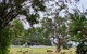 Cinnamon Coloureds Farm Cottages - thumb 7