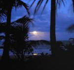 Sejala Beach Huts - Surfers Paradise Gold Coast