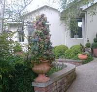 Topiary Haven - Surfers Paradise Gold Coast