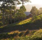 Bundle Hill Cottages - Surfers Paradise Gold Coast