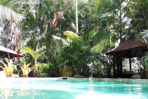 Alaya Escape - Surfers Paradise Gold Coast 5