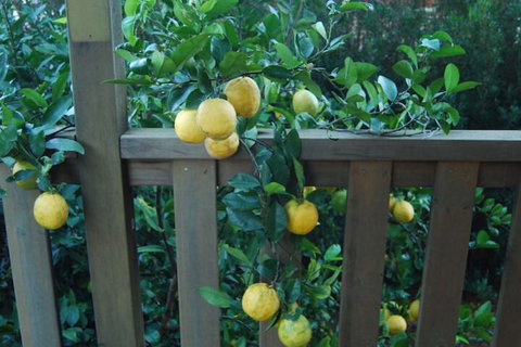 Highclaire House Bed & Breakfast - Surfers Paradise Gold Coast 4