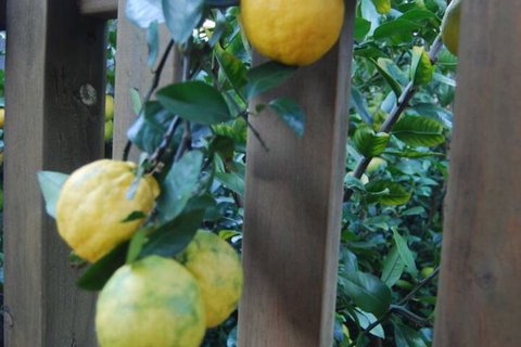 Highclaire House Bed & Breakfast - Surfers Paradise Gold Coast 1