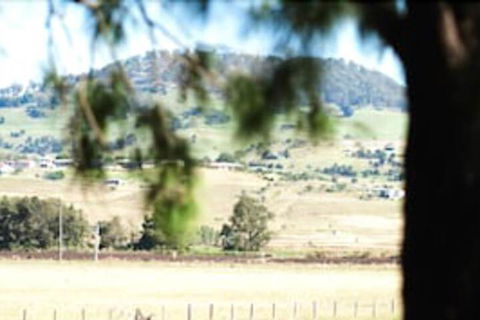Killarney View Cabins & Caravan Park - Surfers Paradise Gold Coast 1