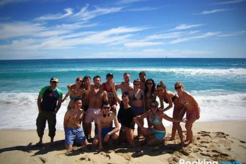The Witchs Hat - Surfers Paradise Gold Coast 2