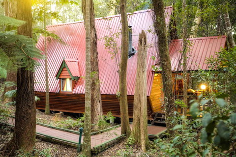 The Mouses House Rainforest Retreat - Surfers Paradise Gold Coast 0