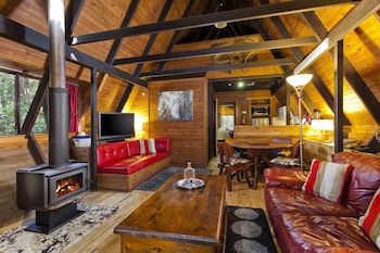 The Mouses House Rainforest Retreat - Surfers Paradise Gold Coast 5