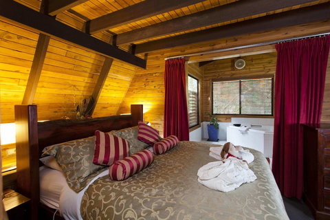 The Mouses House Rainforest Retreat - Surfers Paradise Gold Coast 3