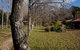Birdwing Bed & Breakfast Weegena - thumb 2