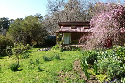 Birdwing Bed & Breakfast Weegena - Surfers Paradise Gold Coast 5