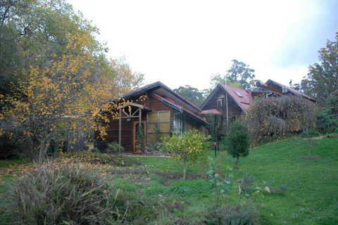 Birdwing Bed & Breakfast Weegena - Surfers Paradise Gold Coast 3