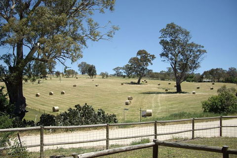 1860 Wine Country Cottages - Surfers Paradise Gold Coast 4