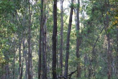 Bungadoo Country Cottage - Surfers Paradise Gold Coast 7
