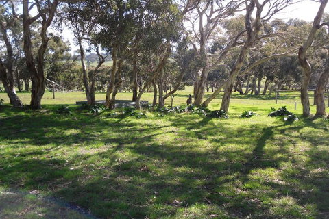 Wenton Farm Holiday Cottages - Surfers Paradise Gold Coast 3