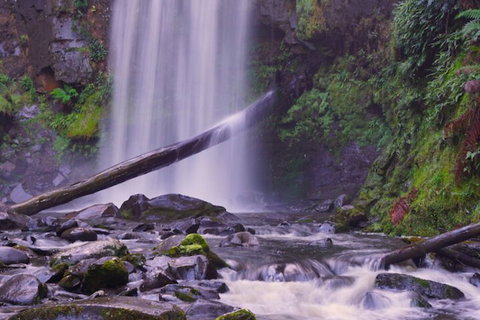 Southern Anchorage Retreat - Surfers Paradise Gold Coast 4