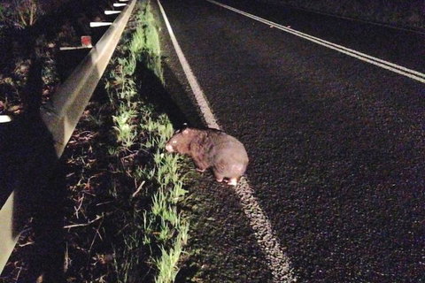 Southern Anchorage Retreat - Surfers Paradise Gold Coast 1