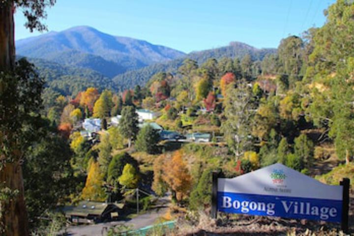 Bogong VIC Surfers Paradise Gold Coast