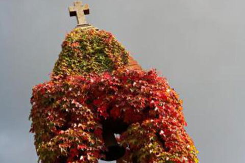 Armidale Ace Apartments - Surfers Paradise Gold Coast 7