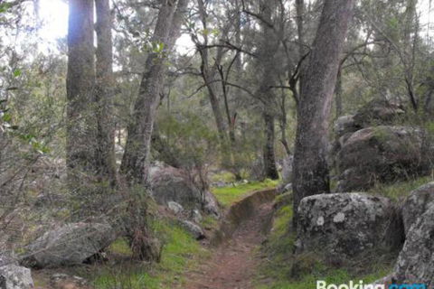 Armidale Ace Apartments - Surfers Paradise Gold Coast 3