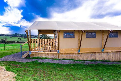 Hillview Farmstay - Surfers Paradise Gold Coast 3