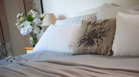 Woolrich Historic Garden Cottage - Surfers Paradise Gold Coast 4
