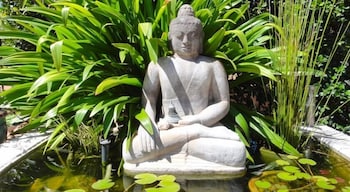 Vatu Sanctuary - Surfers Paradise Gold Coast 4