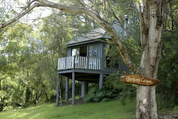 Bluegums Cabins Barrington Tops - Surfers Paradise Gold Coast 1