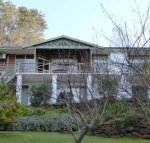 Sea Banksia - Surfers Paradise Gold Coast