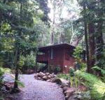 Black Palm Cape Tribulation - Surfers Paradise Gold Coast