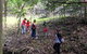 Bellview - thumb 3