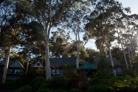Great Ocean Road Cottages - Surfers Paradise Gold Coast 1