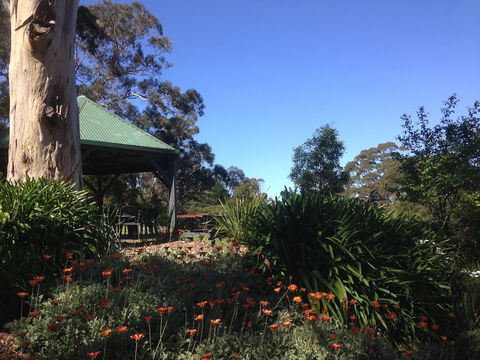 Great Ocean Road Cottages - Surfers Paradise Gold Coast 5