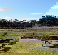 Pelican Point Sanctuary - Surfers Paradise Gold Coast