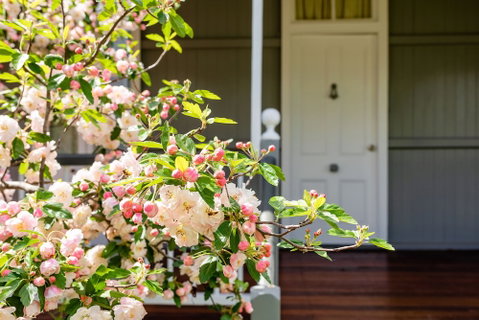 Apple Blossom Cottage - Surfers Paradise Gold Coast 0