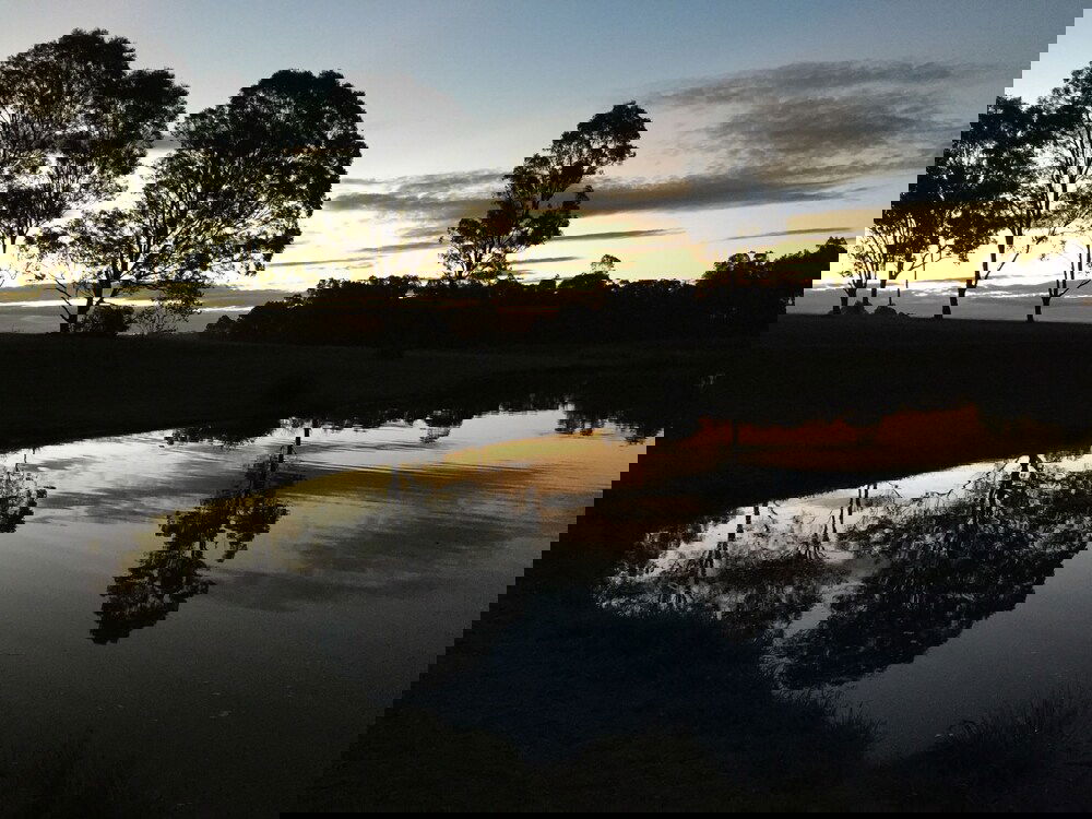 Belford NSW Surfers Paradise Gold Coast