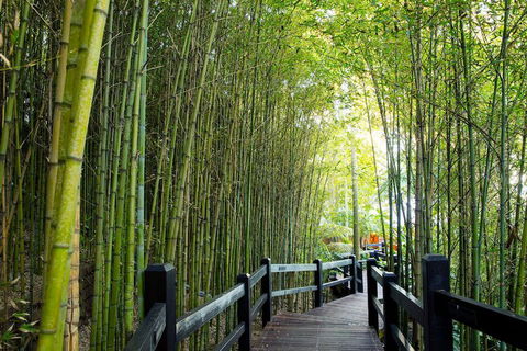 Kims Beachside Retreat - Surfers Paradise Gold Coast 2