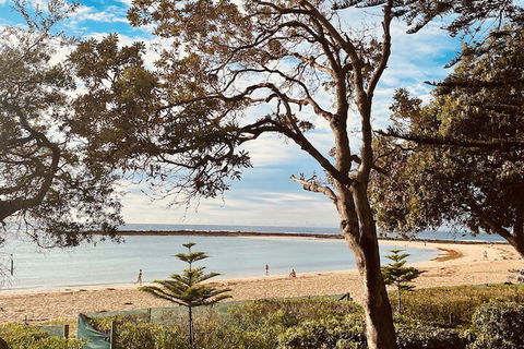 Kims Beachside Retreat - Surfers Paradise Gold Coast 1