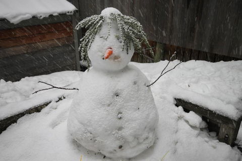 CHILL OUT At THREDBO - Surfers Paradise Gold Coast 2