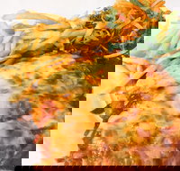 The Water Rat Hotel - Surfers Paradise Gold Coast