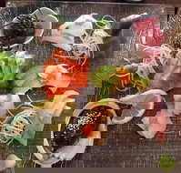 Toshi's Japanese Restaurant - Surfers Paradise Gold Coast