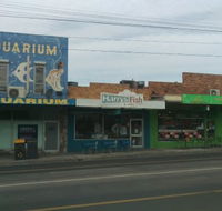 Harry's Fish  Chips - Surfers Paradise Gold Coast
