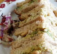 Sycamore Tree Coffee Shop - Surfers Paradise Gold Coast