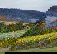 De Bortoli Winery  Restaurant - Surfers Paradise Gold Coast