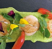 Cafe Amphora - Surfers Paradise Gold Coast