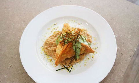 Samson Fish Seafood - Surfers Paradise Gold Coast 16