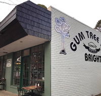 Gum Tree Pies - Surfers Paradise Gold Coast